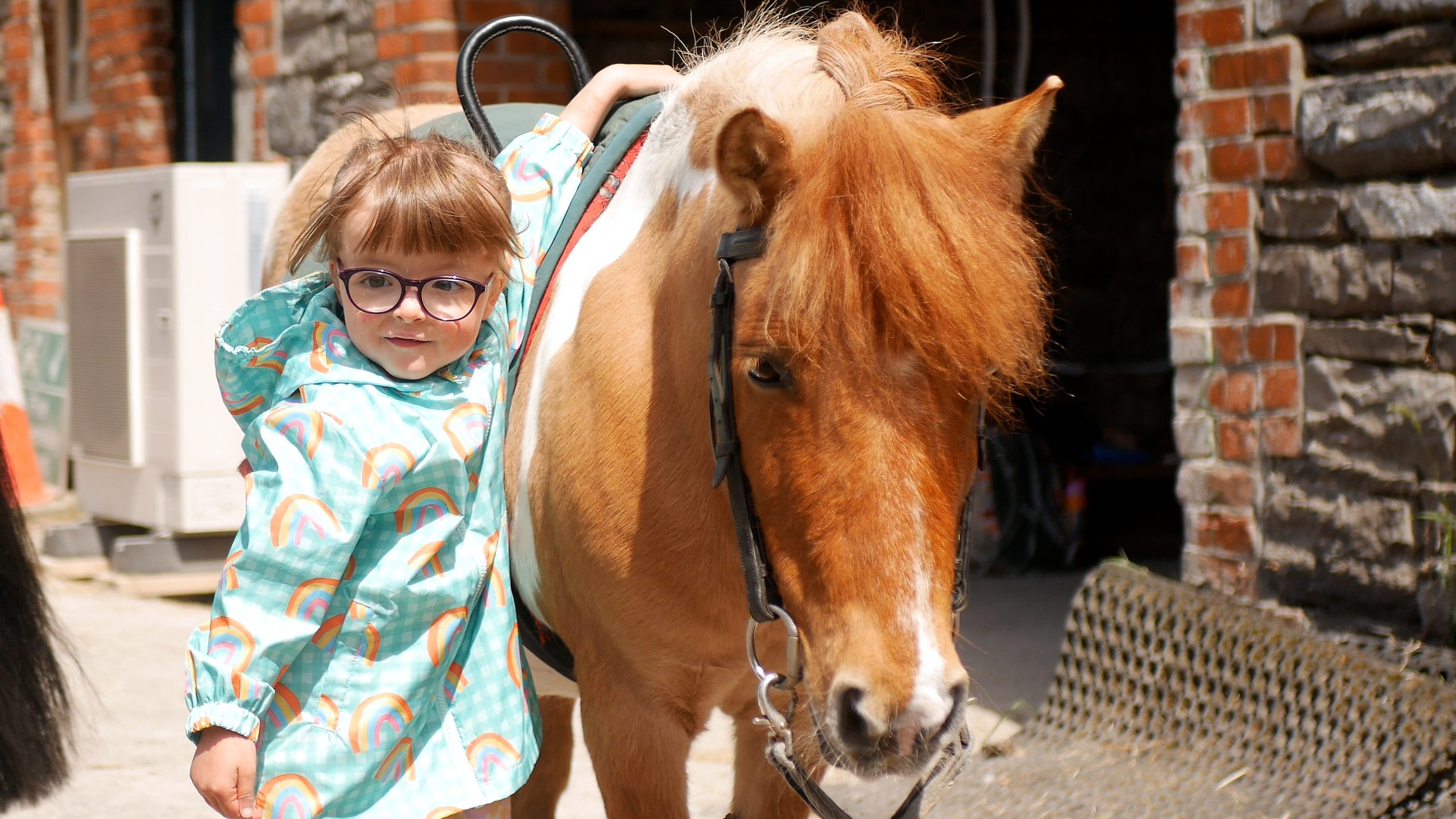 Young girl with arm around small horse